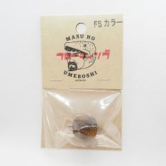 MASU NO UMEBOSHI  21mm 2g  フローティング　FSカラー　ますスプリングス